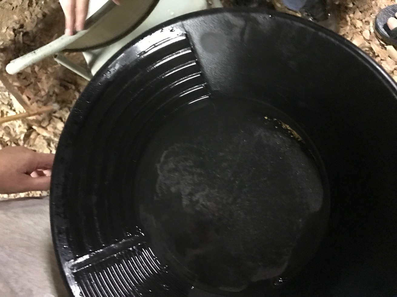 AL_Gold_Camp_May_2017_12