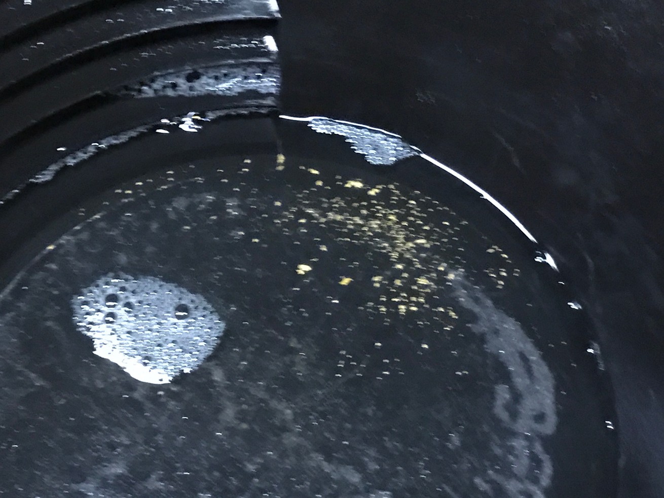 AL_Gold_Camp_May_2017_14