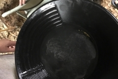 AL_Gold_Camp_May_2017_12