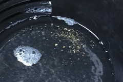 AL_Gold_Camp_May_2017_14