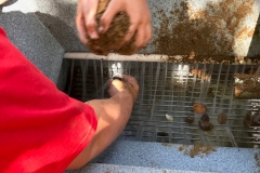 AL_Gold_Camp_May_2017_5